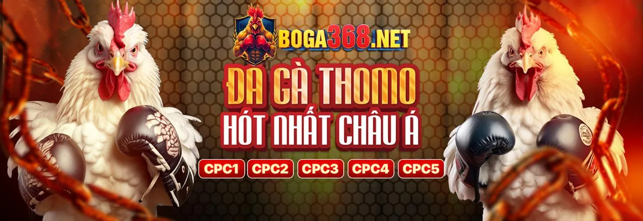 Đá gà trực tuyến kịch tính tại tf88 Casino